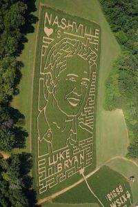 2014cornmaze